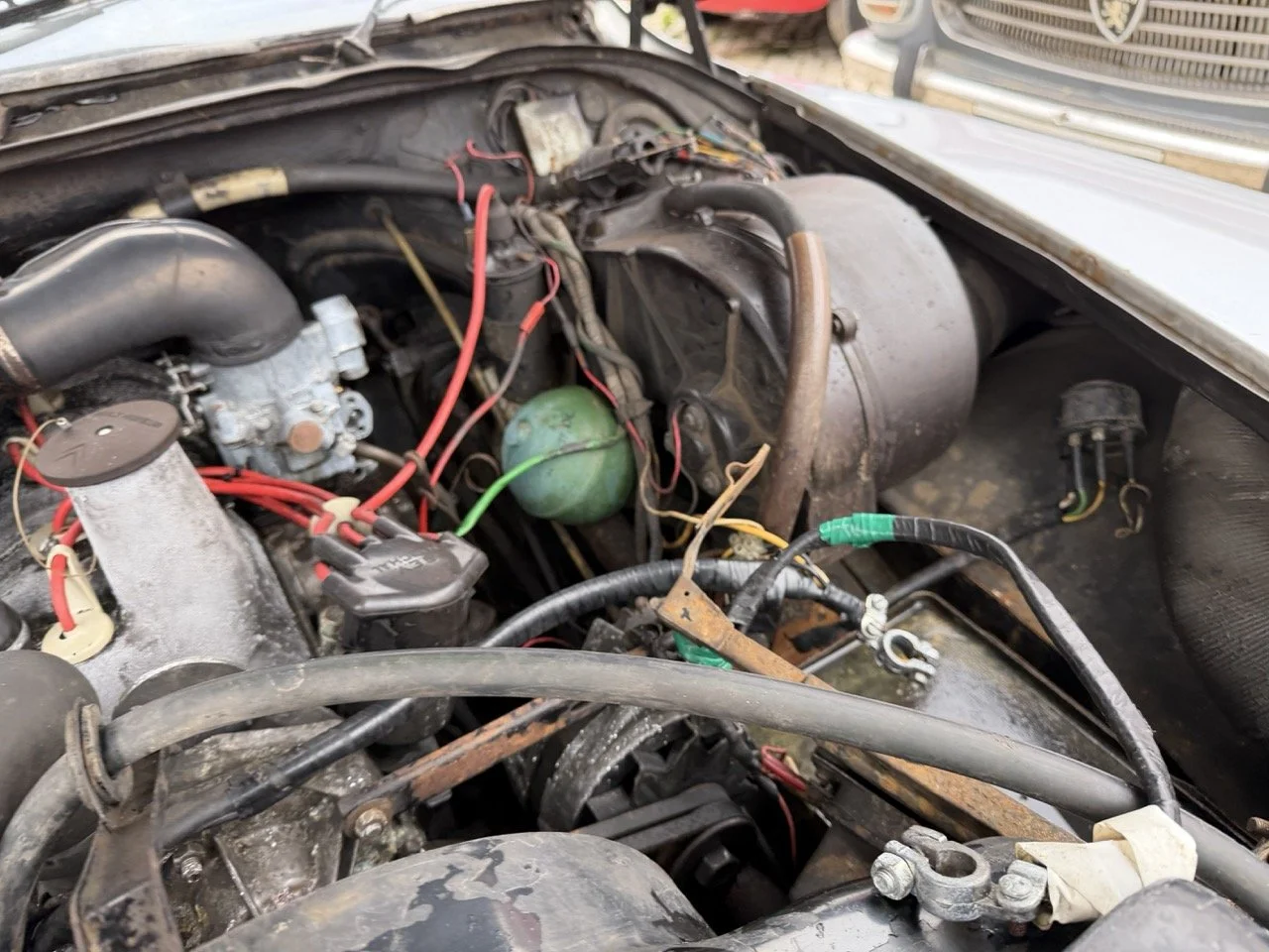 IMG_3749 – grande.jpeg