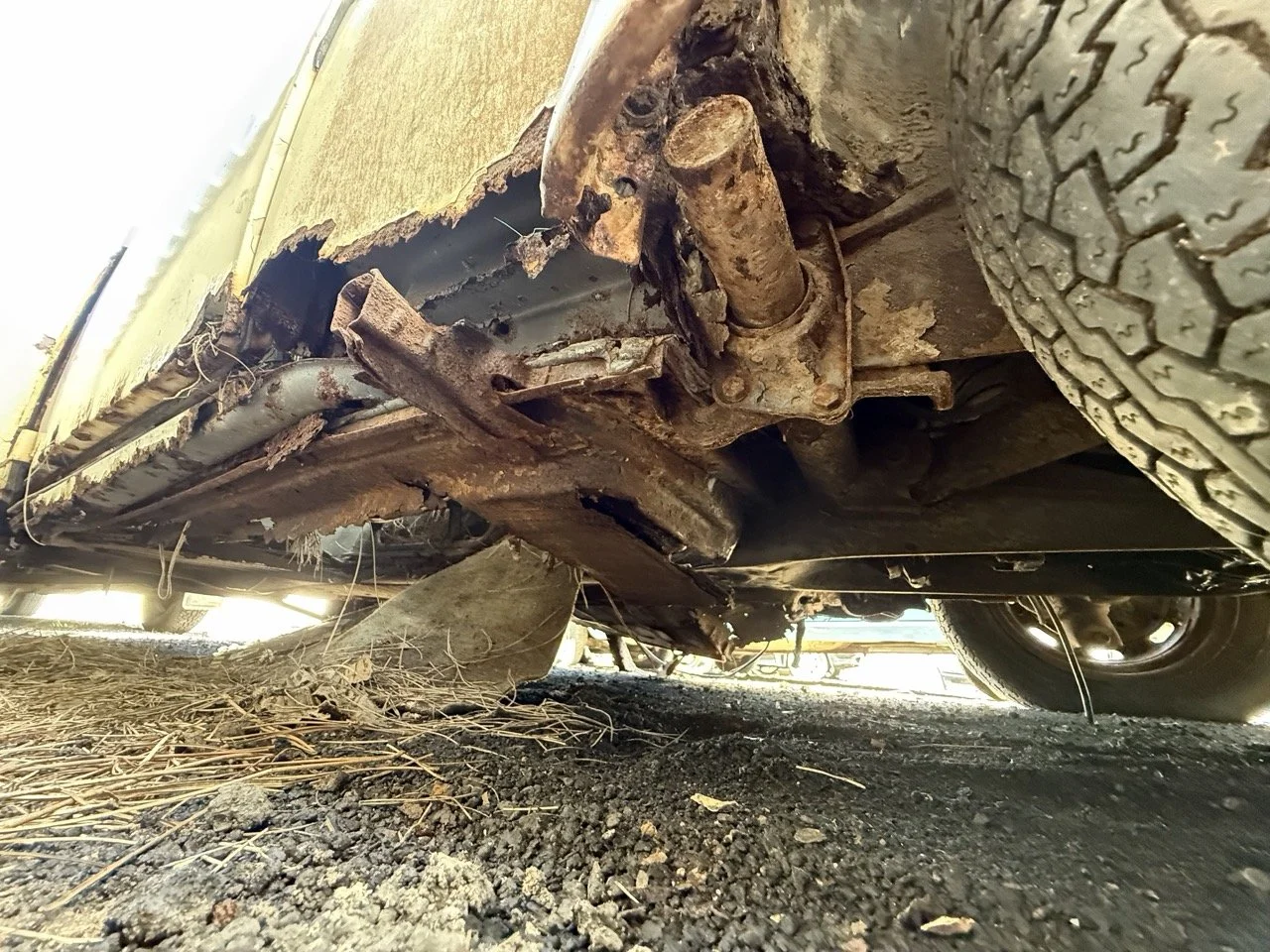 IMG_0647 – grande.jpeg