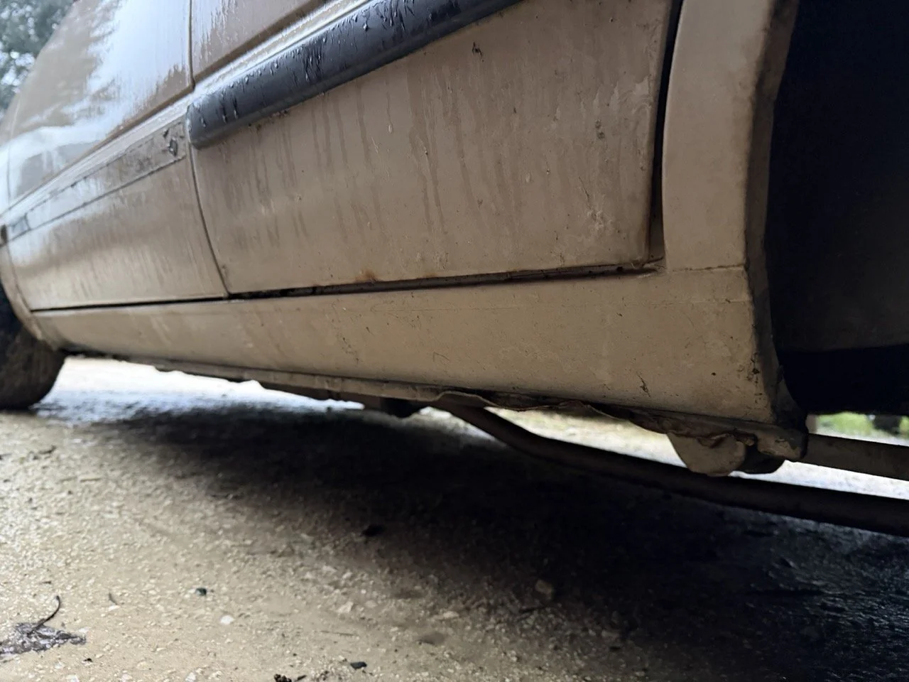 IMG_0202 – grande.jpeg