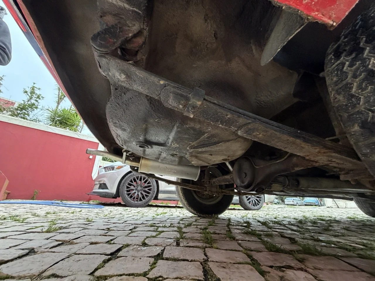 IMG_8302 – grande.jpeg