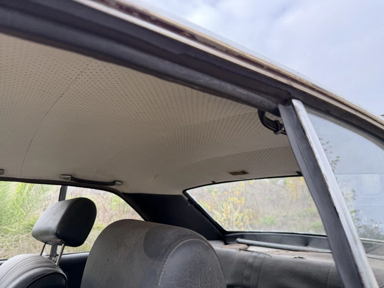 IMG_4916 – grande.jpeg