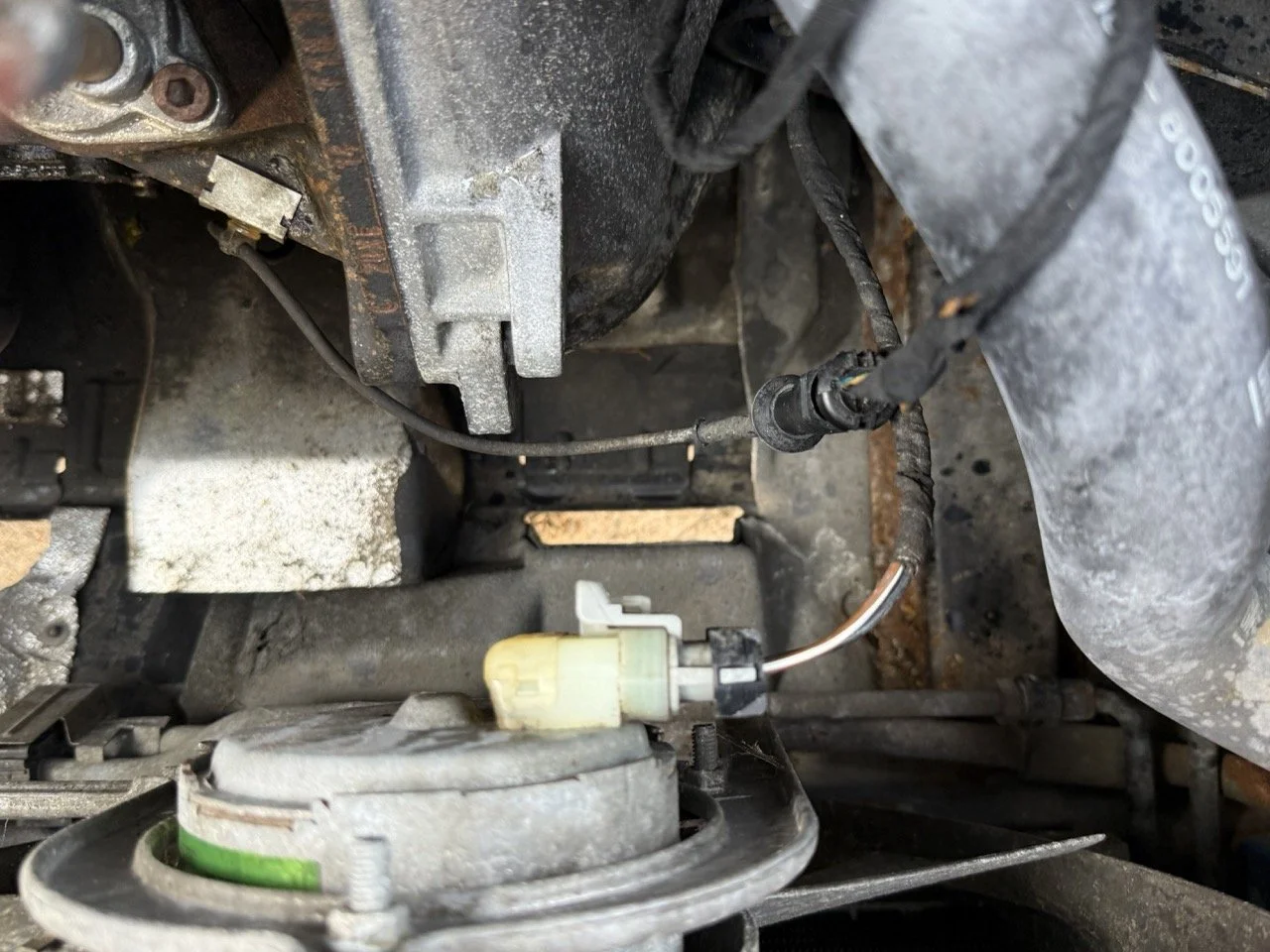 IMG_2428 – grande.jpeg