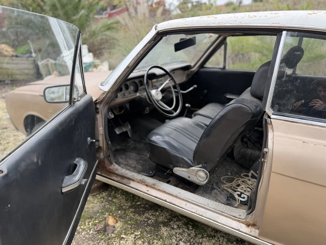 IMG_4909 – grande.jpeg