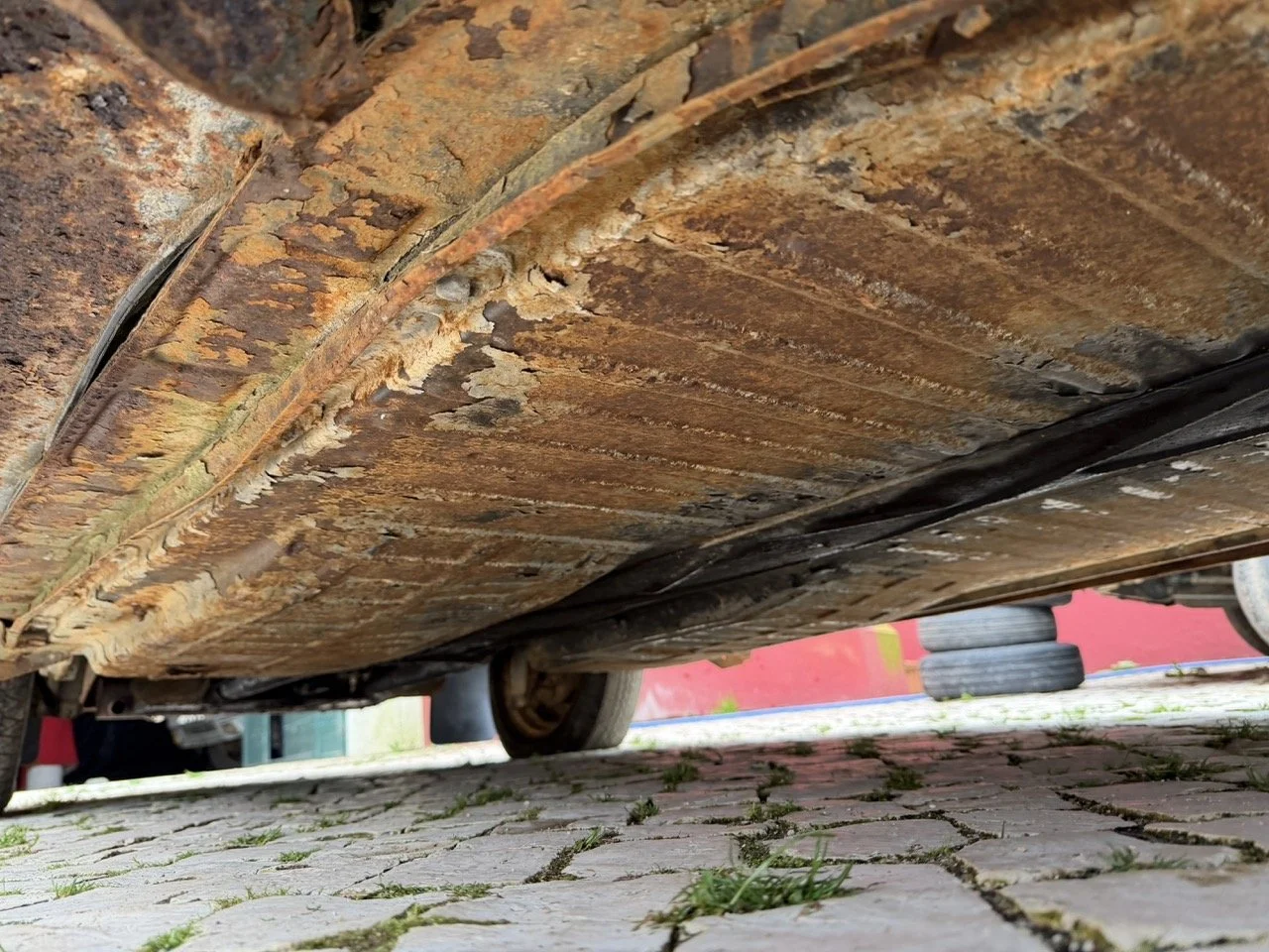 IMG_1231 – grande.jpeg