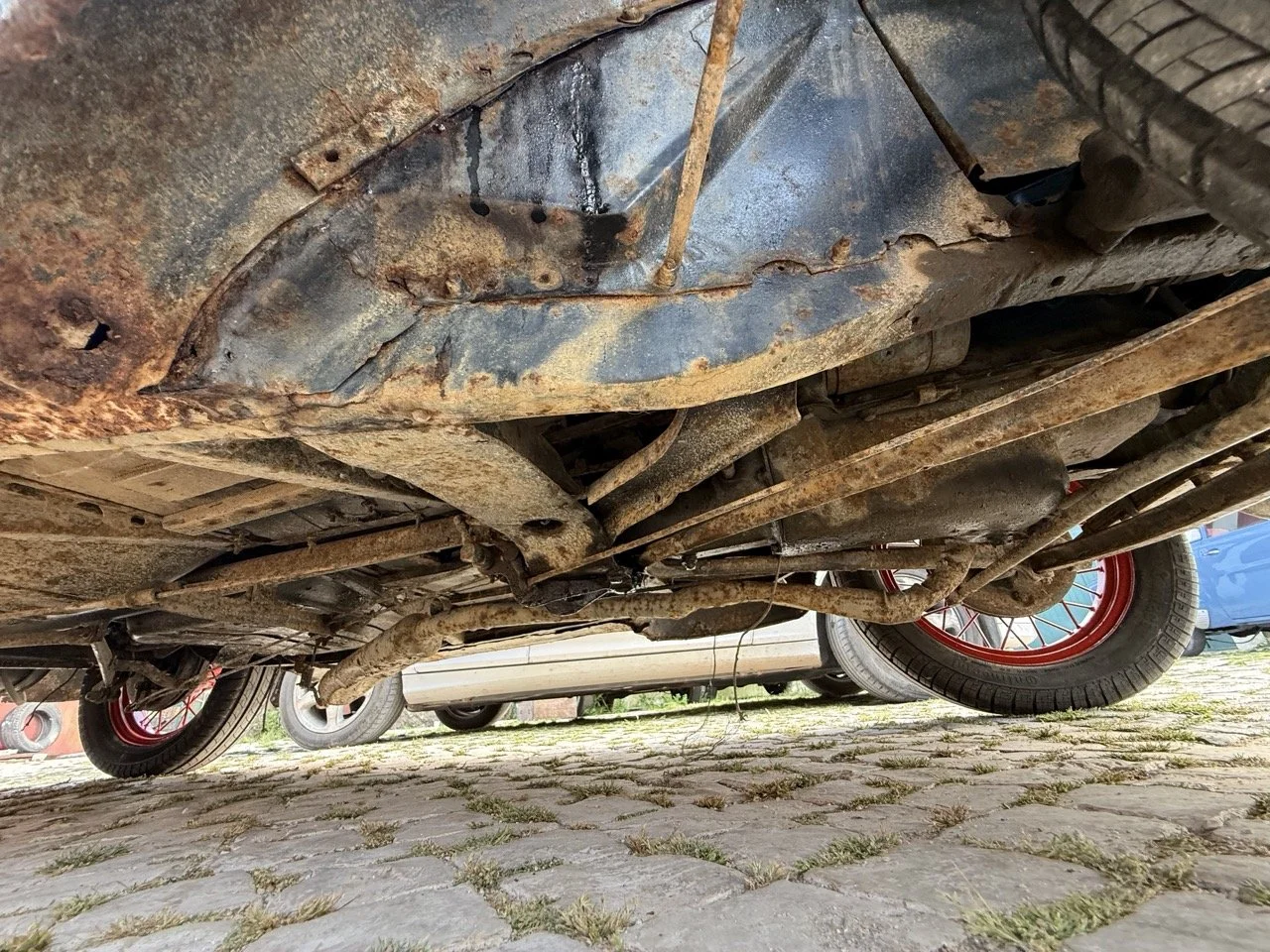 IMG_3745 – grande.jpeg