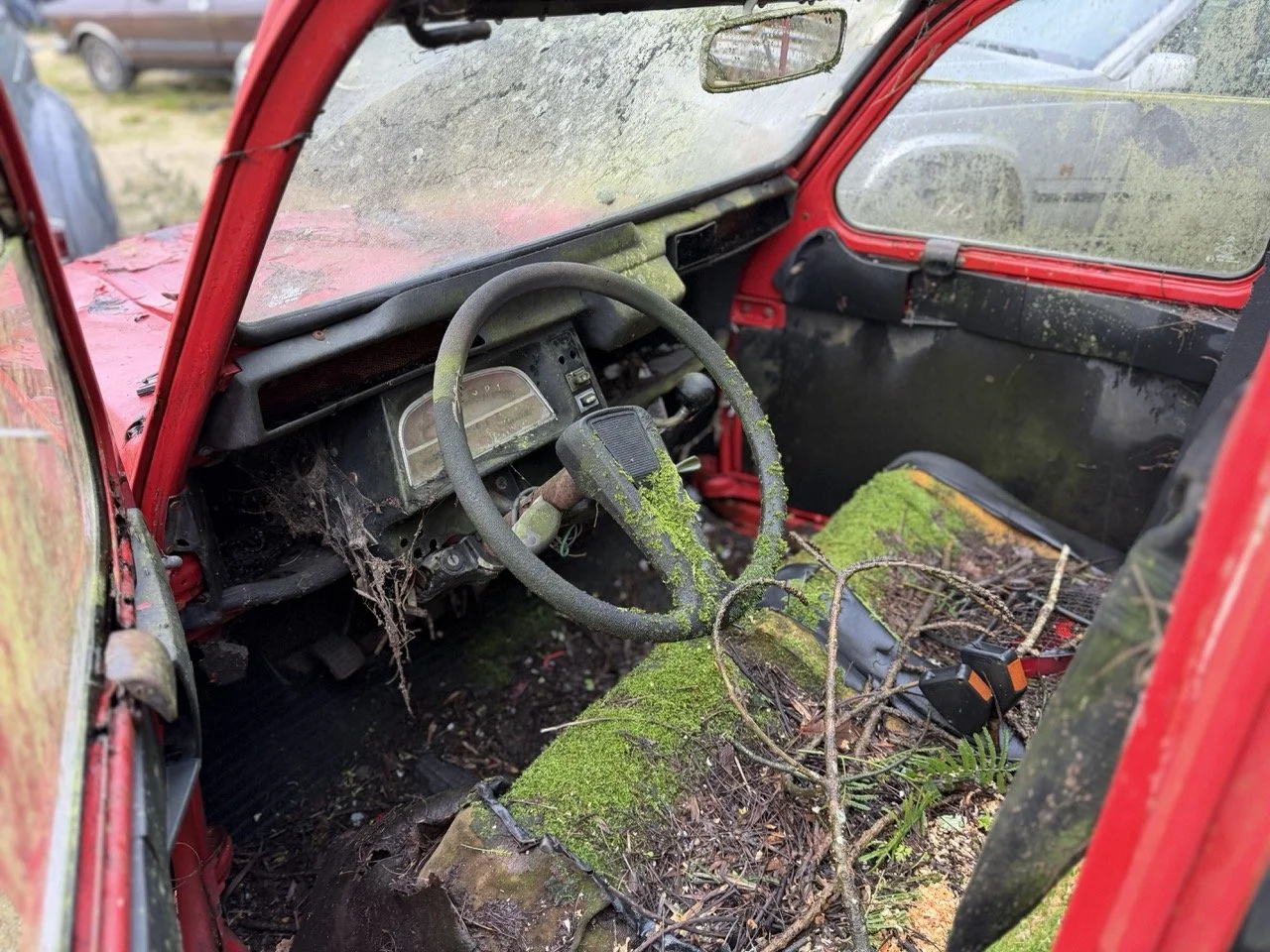 IMG_5471 – grande.jpeg