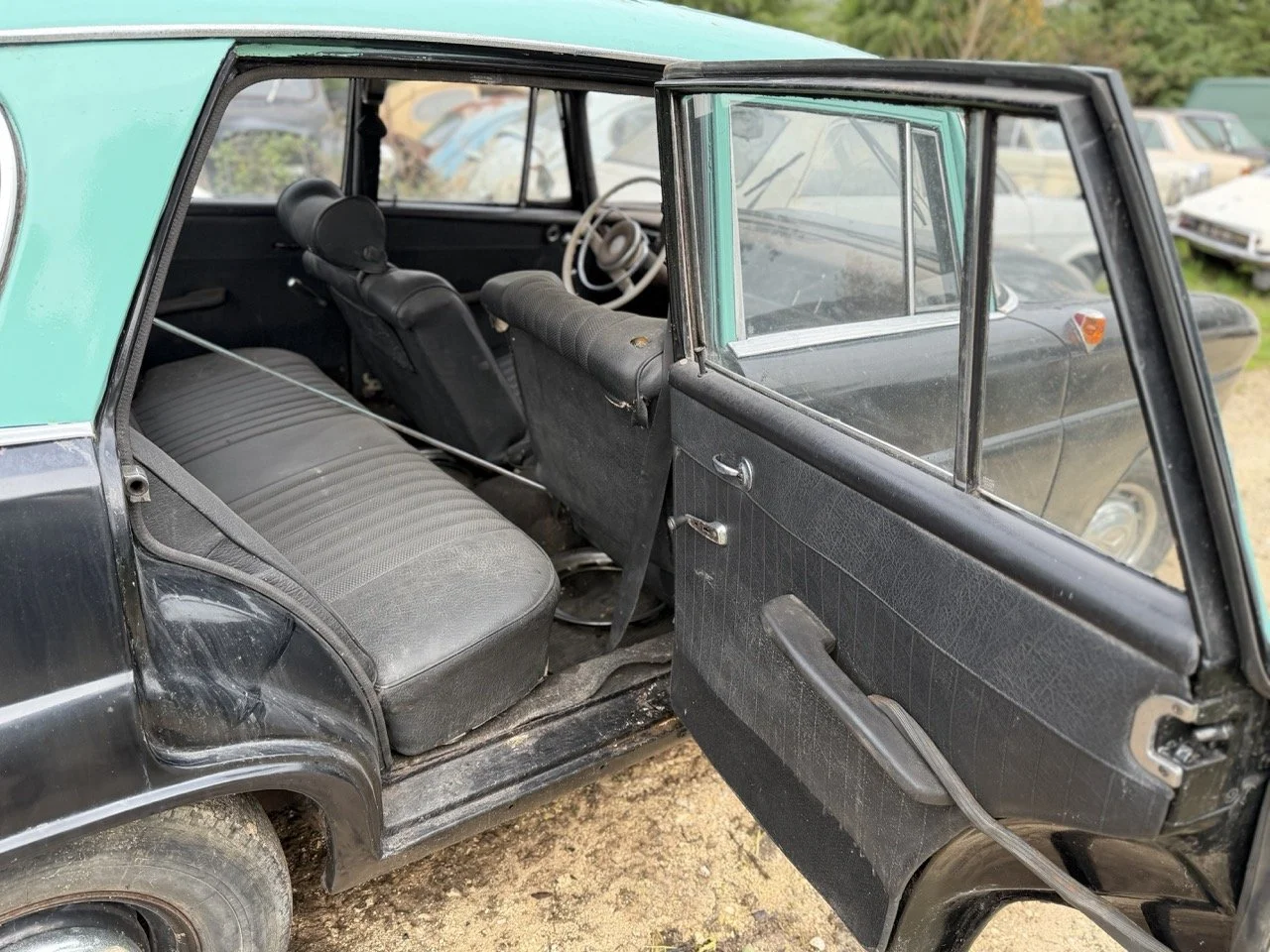 IMG_5026 – grande.jpeg