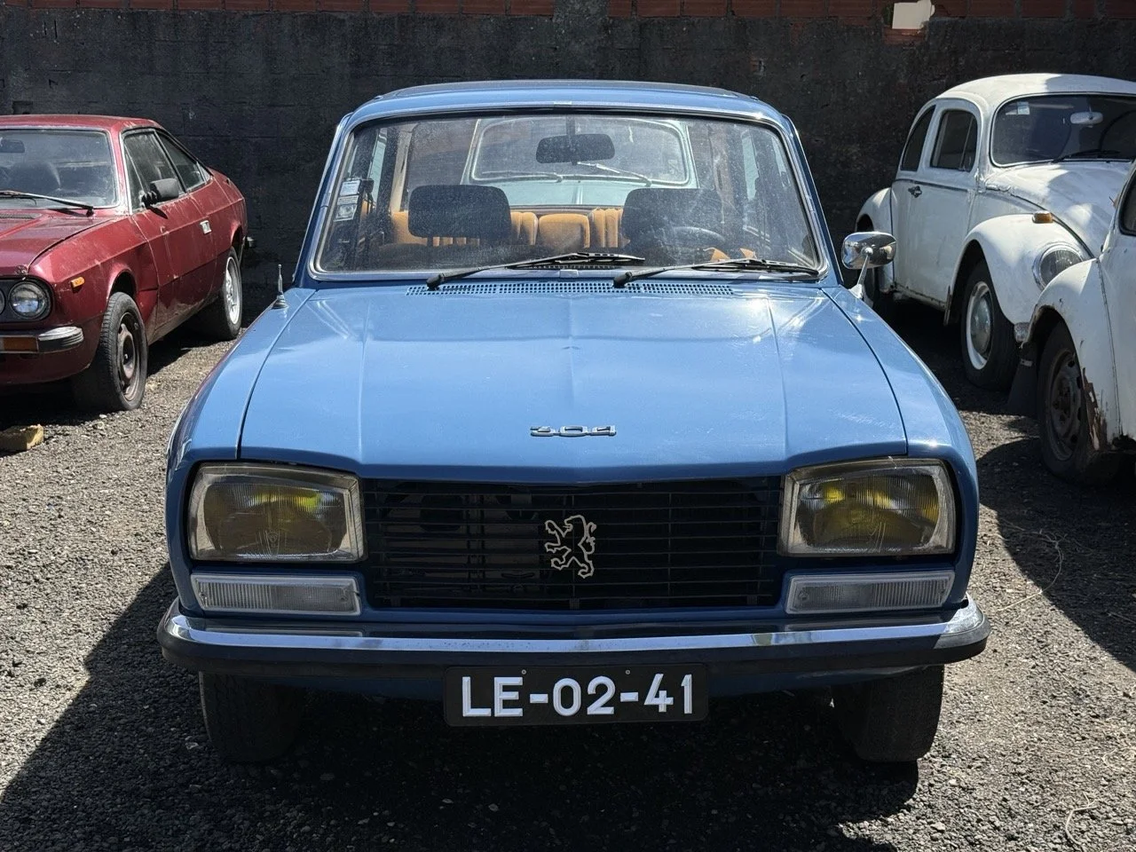 IMG_0736 – grande.jpeg