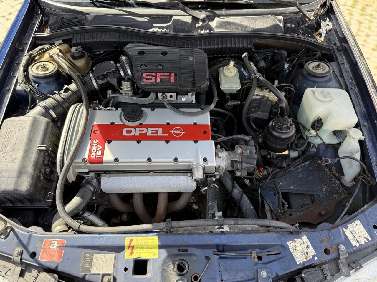 IMG_2413 – grande.jpeg