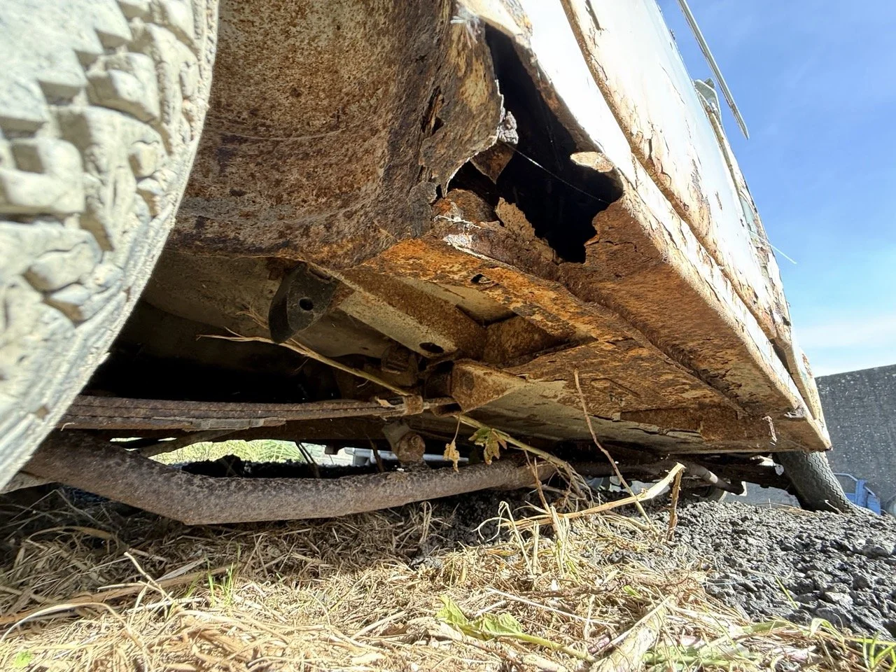 IMG_0513 – grande.jpeg