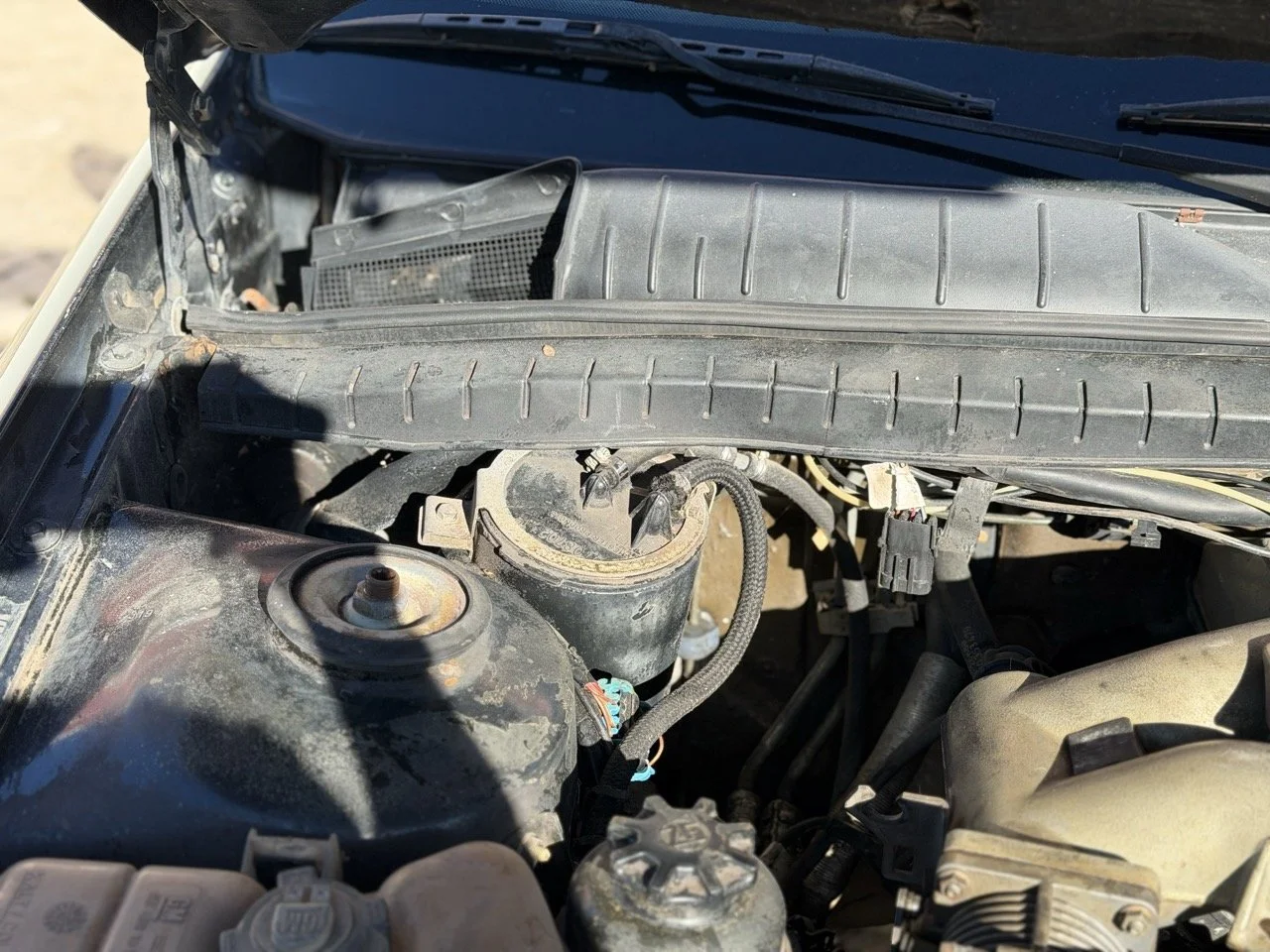 IMG_2754 – grande.jpeg