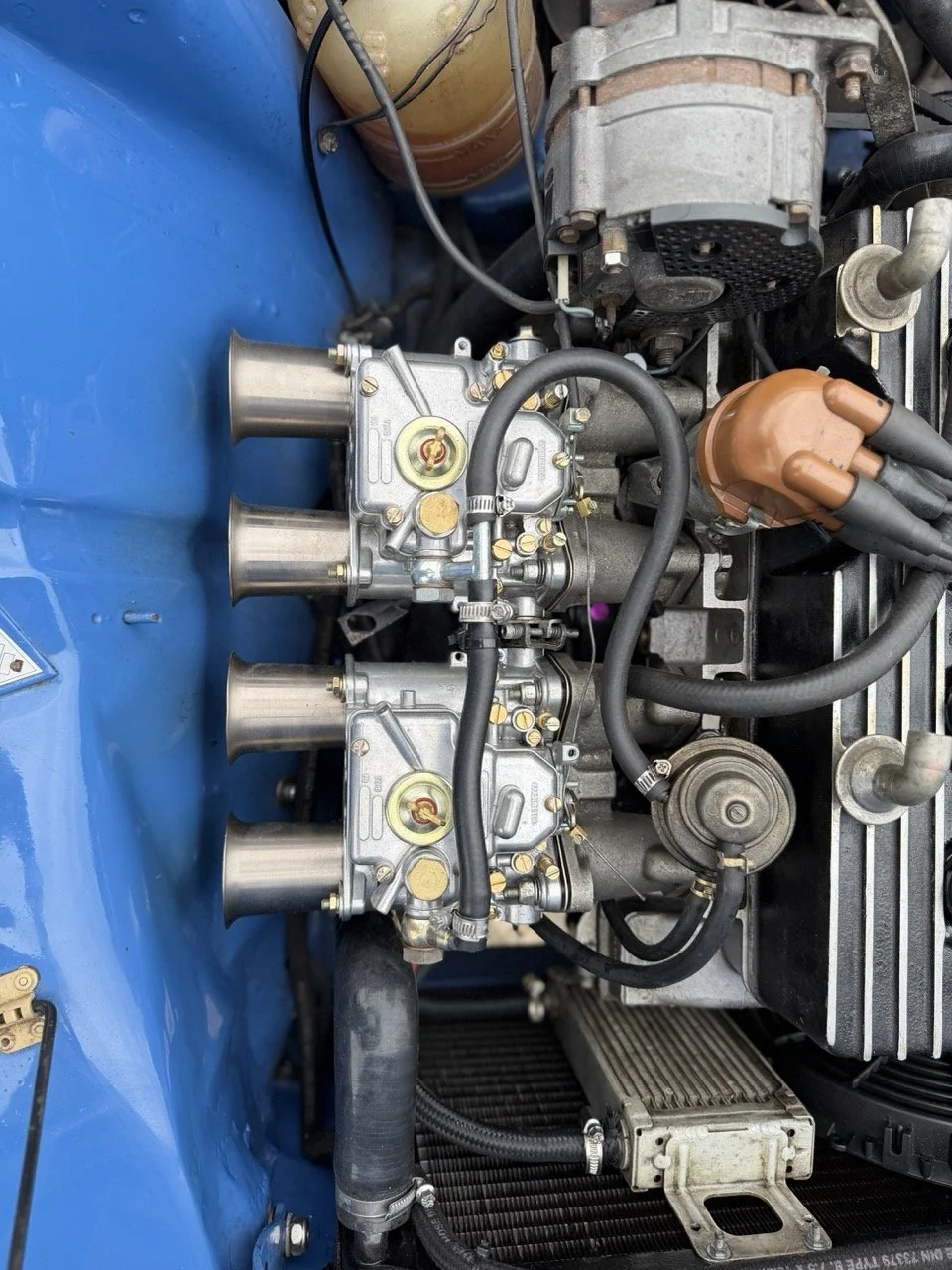 IMG_6035 – grande.jpeg