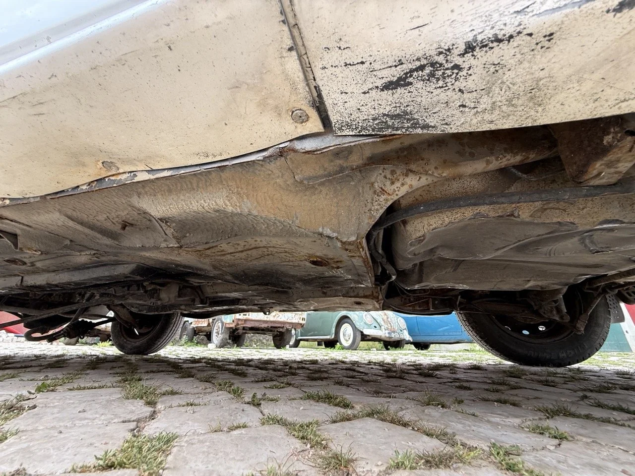 IMG_8633 – grande.jpeg