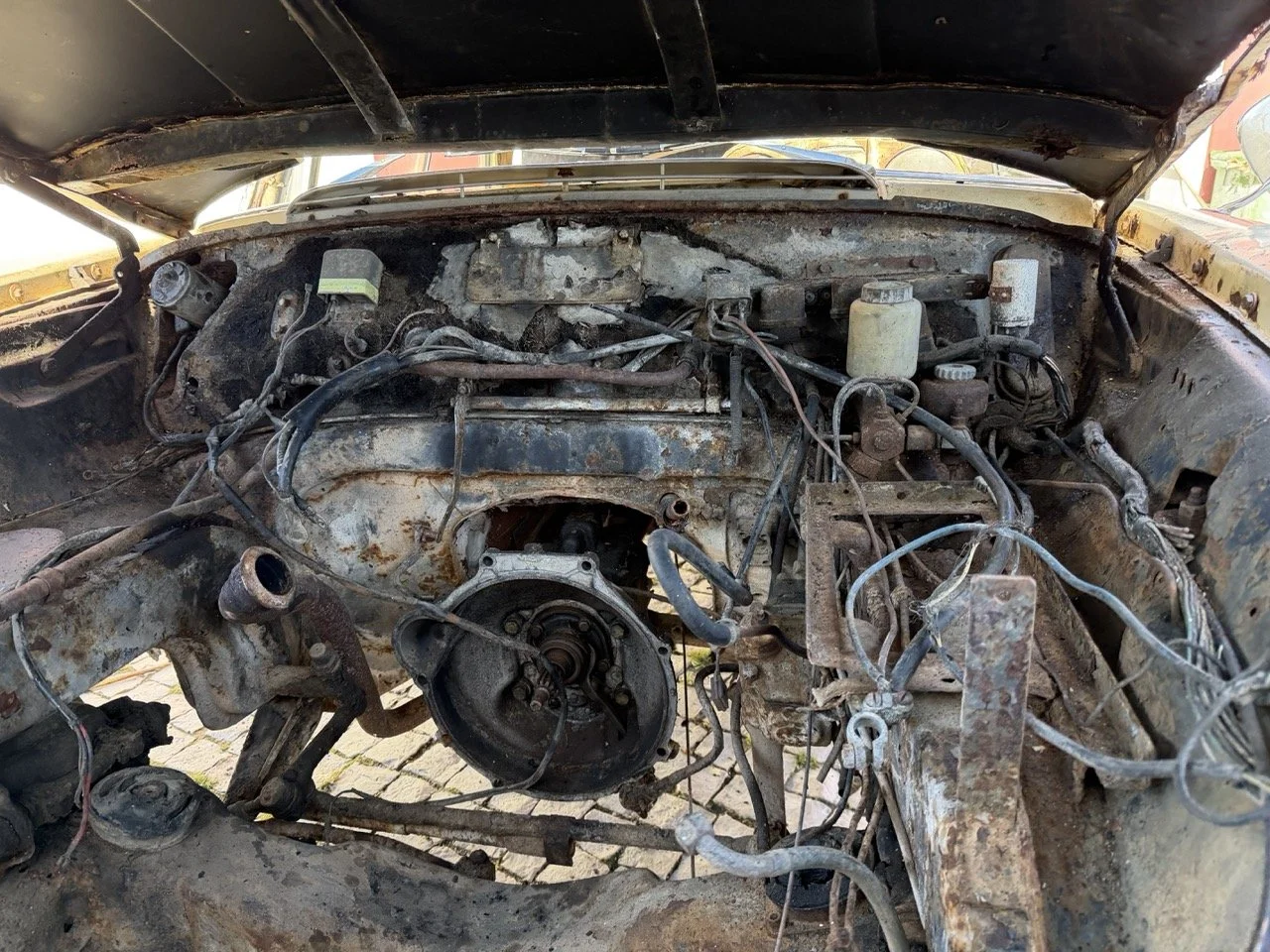 IMG_7107 – grande.jpeg