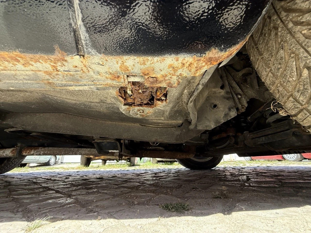 IMG_2231 – grande.jpeg