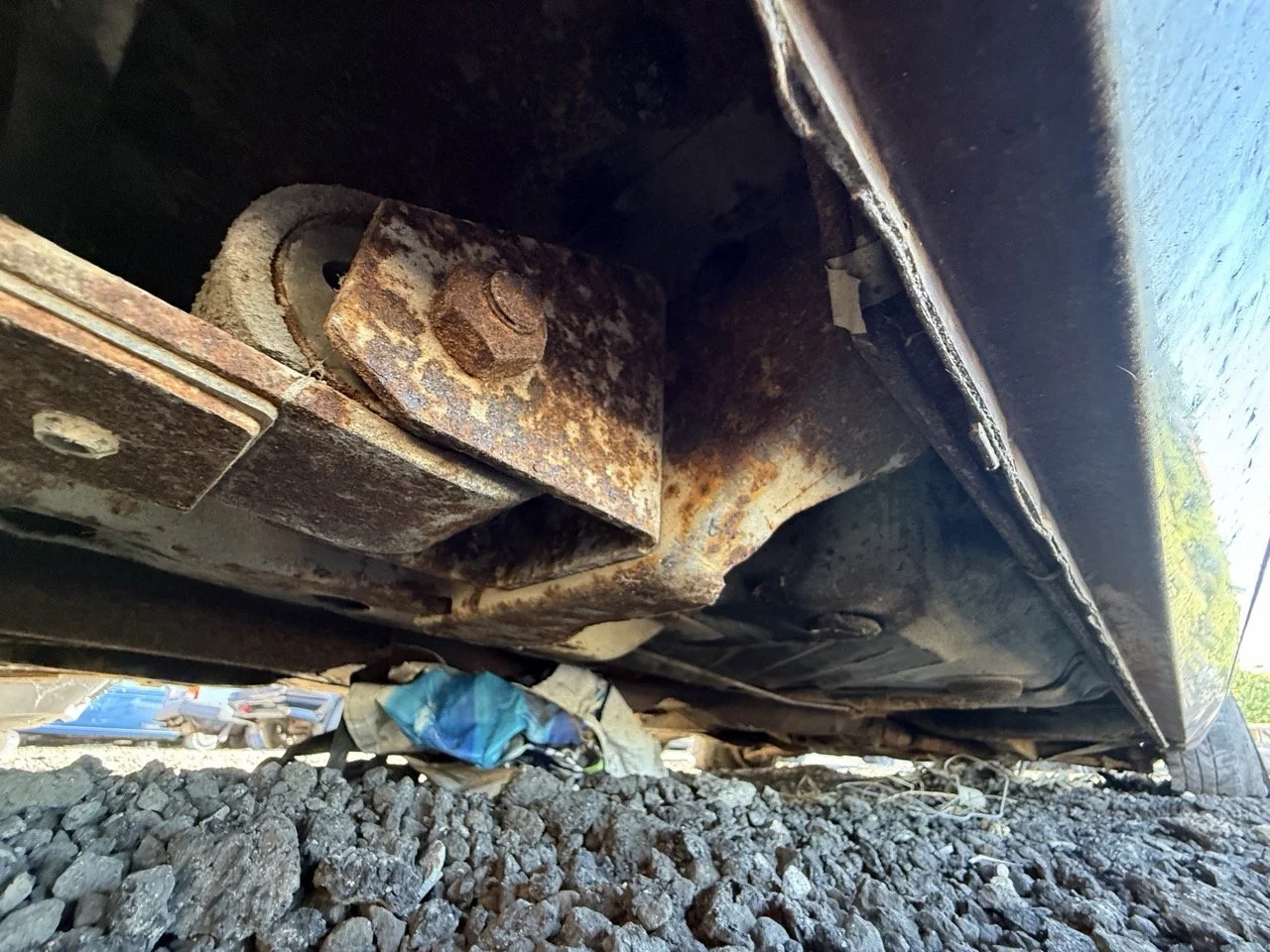 IMG_3058 – grande.jpeg