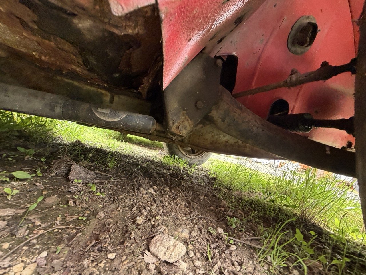 IMG_3884 – grande.jpeg