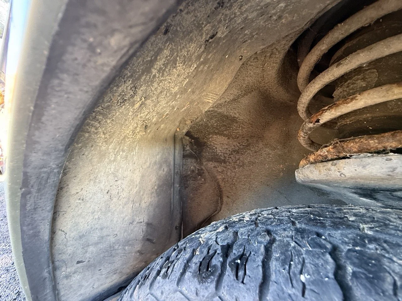 IMG_1238 – grande.jpeg