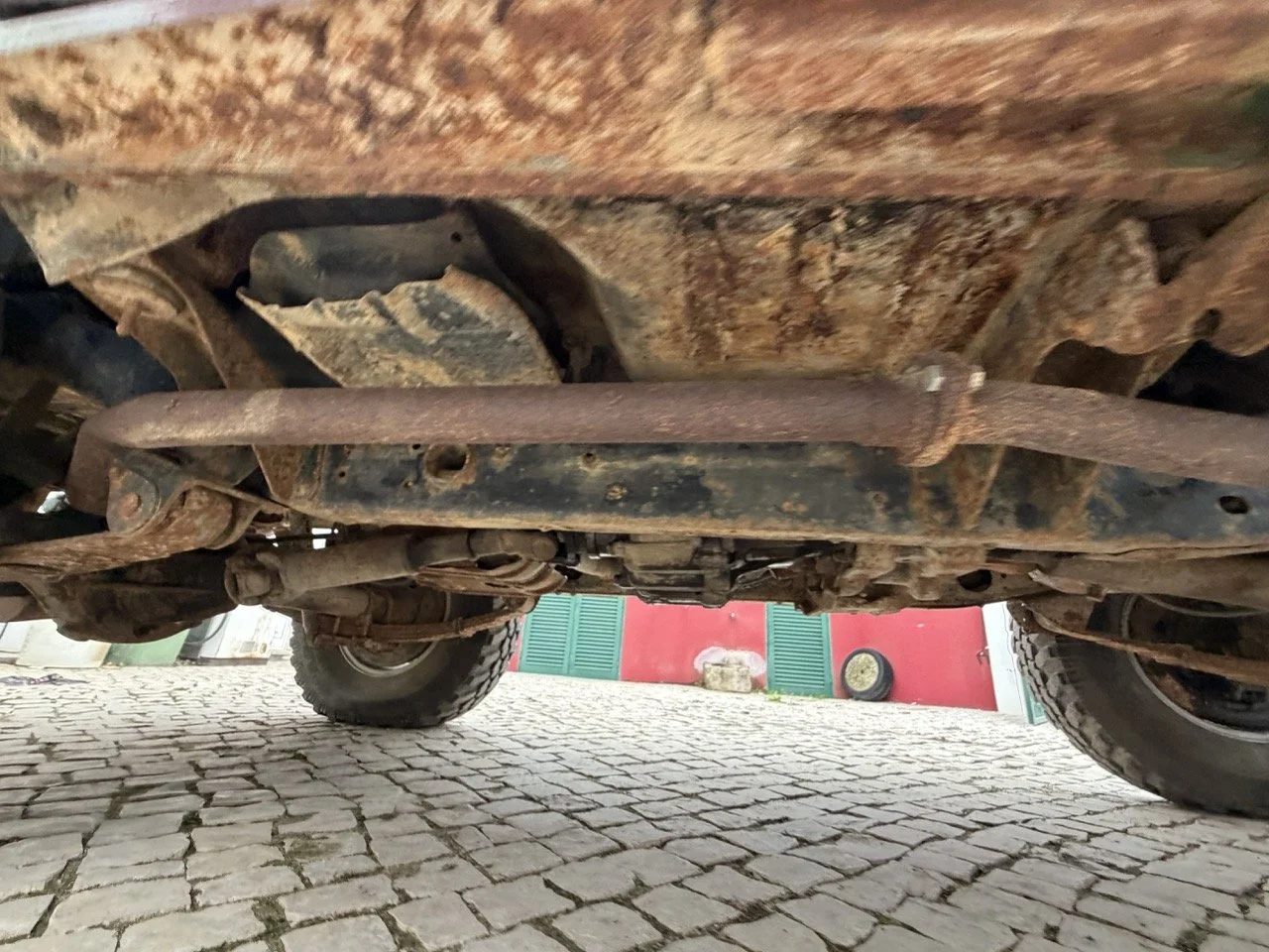 IMG_6524 – grande.jpeg