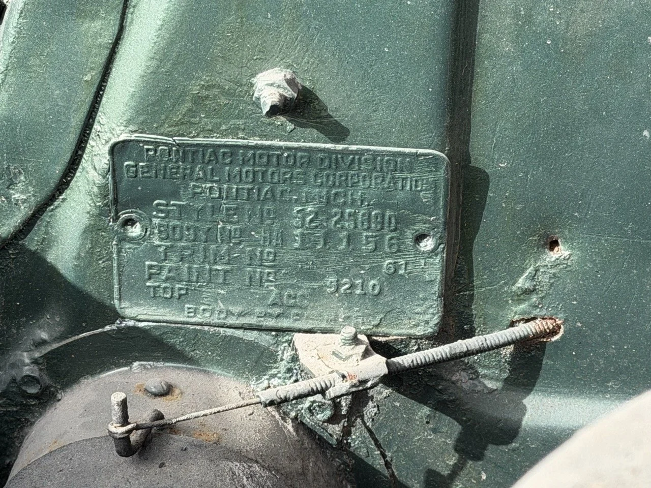 IMG_1799 – grande.jpeg