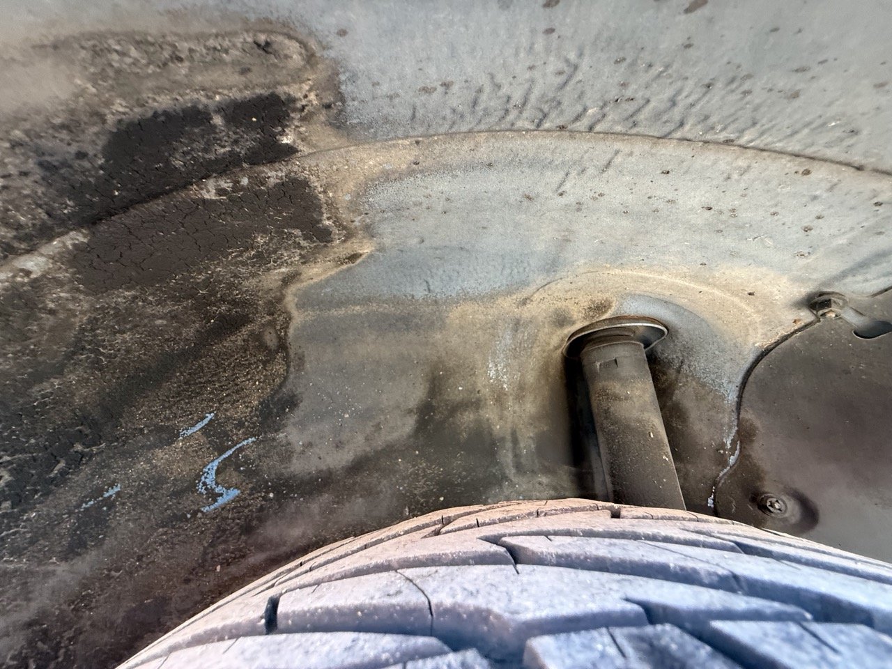 IMG_2504 – grande.jpeg