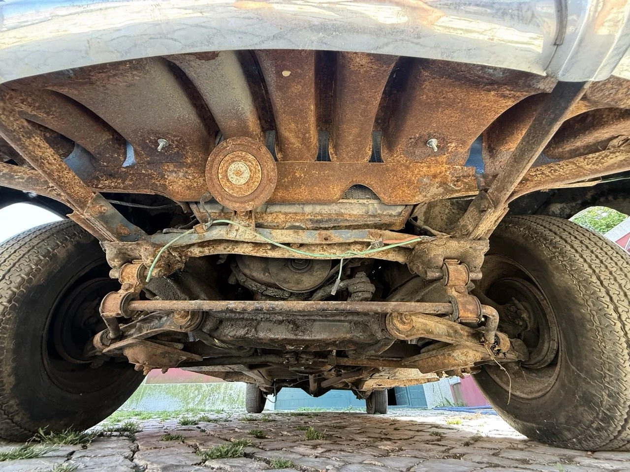 IMG_3576 – grande.jpeg