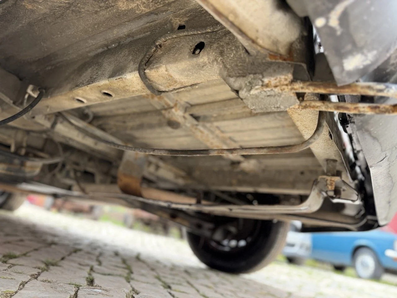 IMG_9573 – grande.jpeg