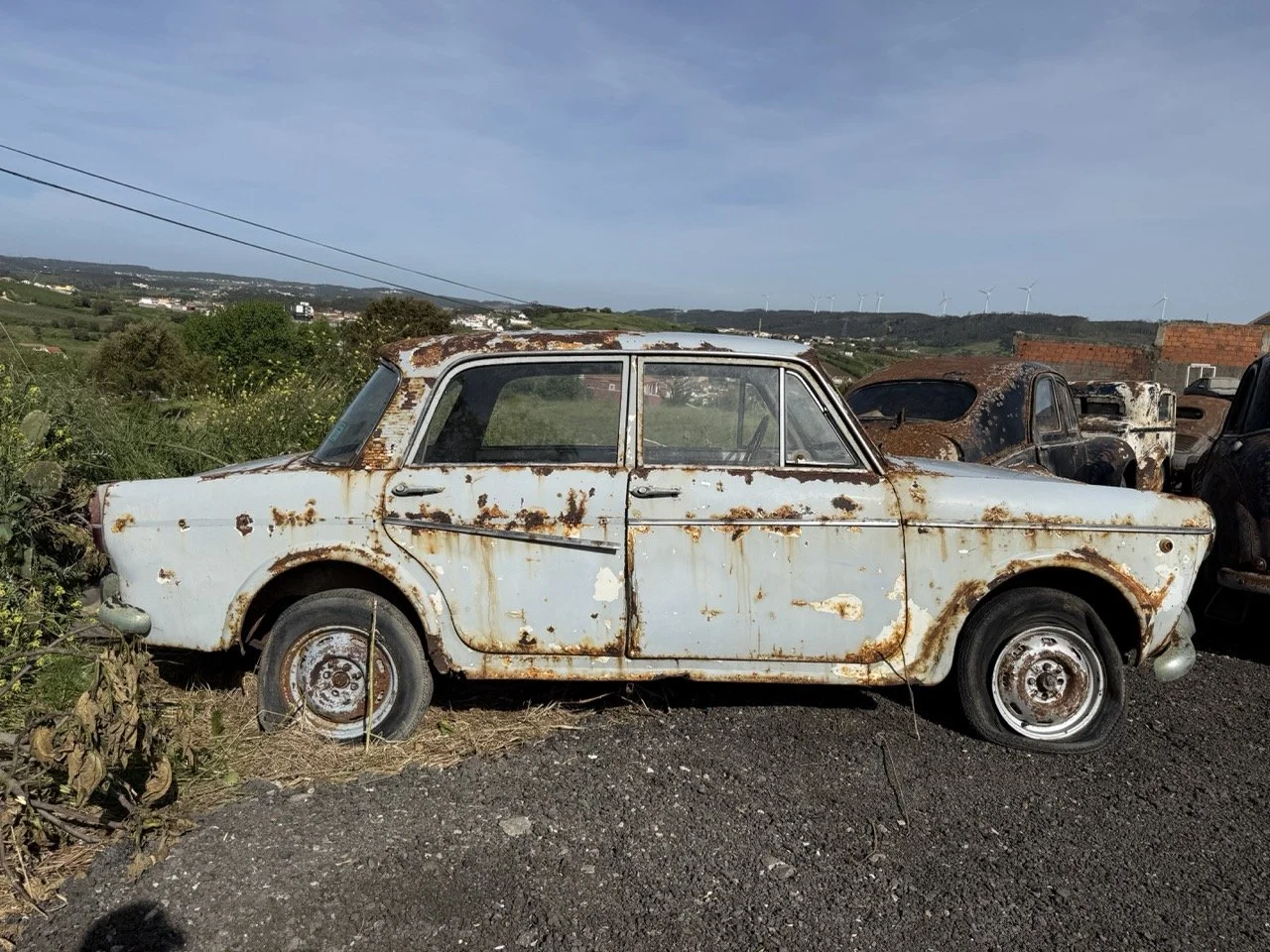 IMG_0484 – grande.jpeg