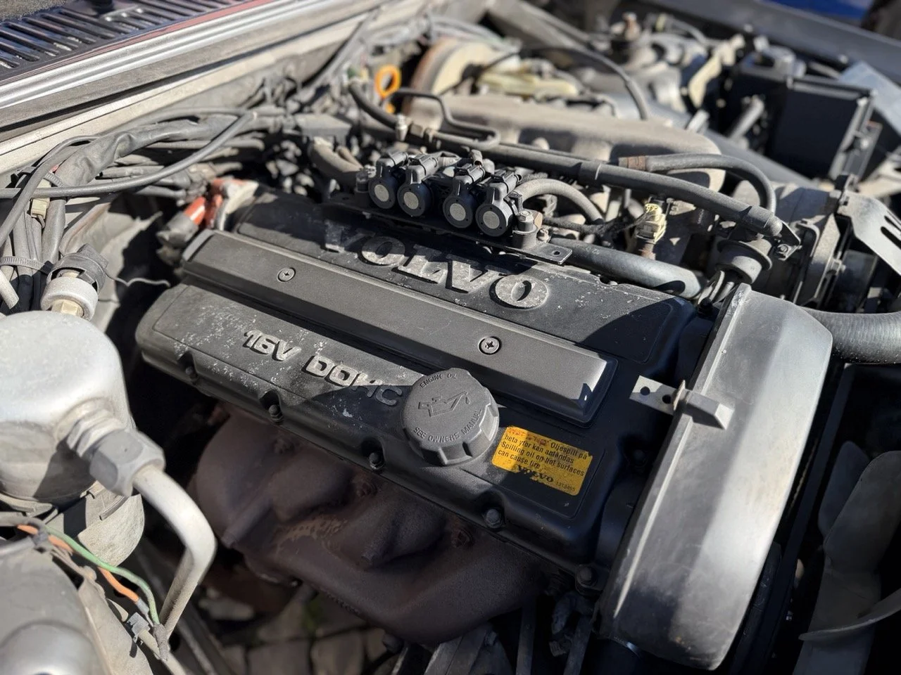 IMG_1979 – grande.jpeg