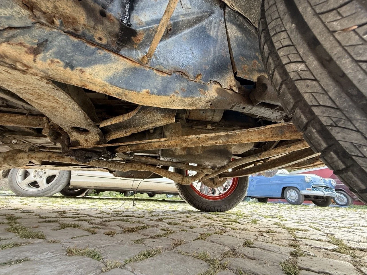 IMG_3744 – grande.jpeg