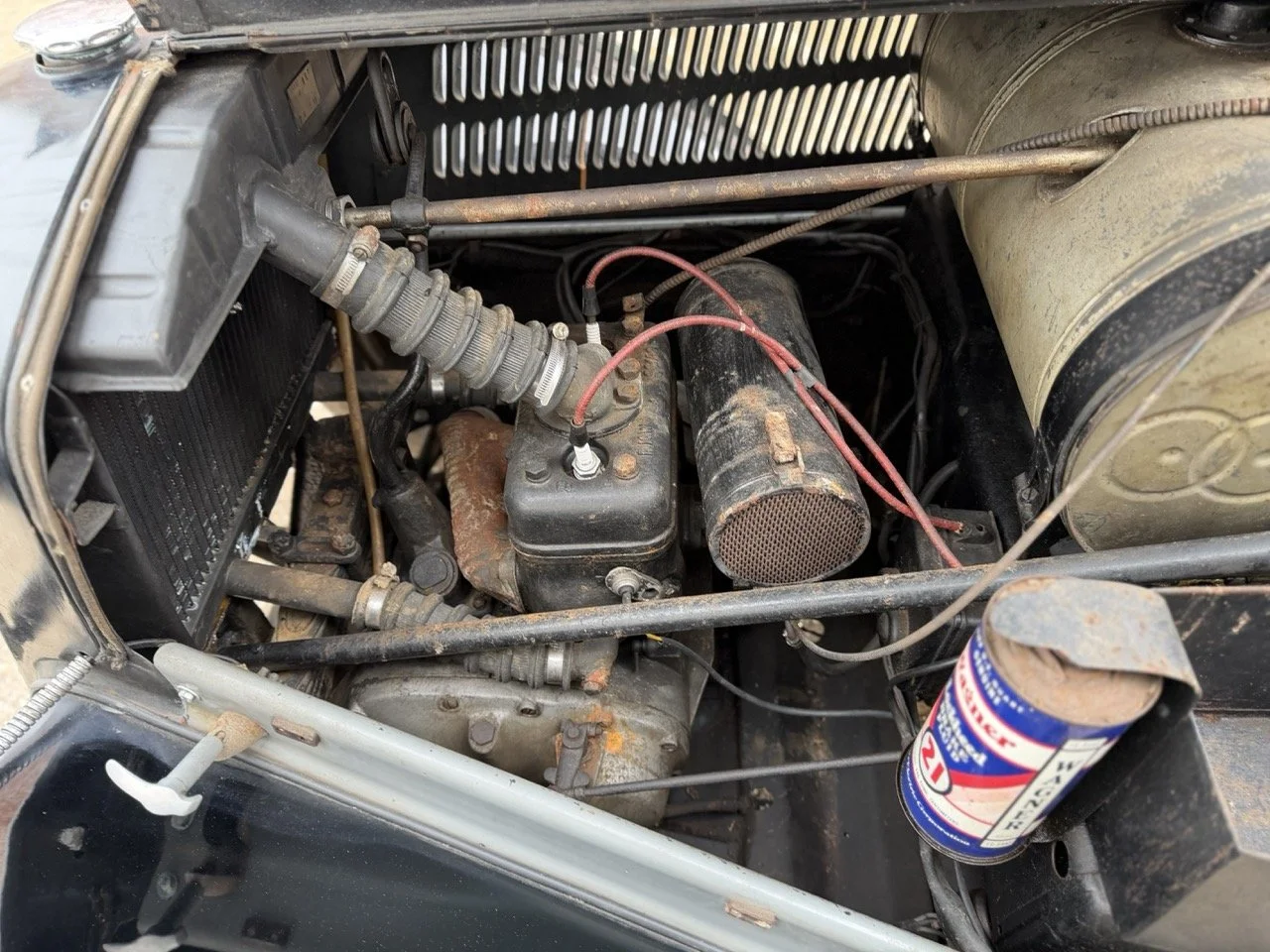 IMG_1447 – grande.jpeg