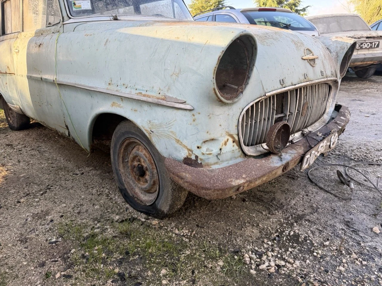 IMG_4060 – grande.jpeg