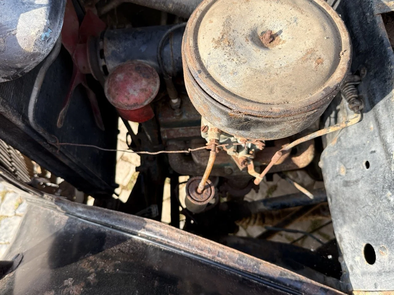 IMG_3710 – grande.jpeg