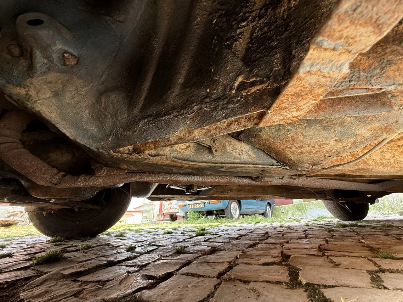 IMG_3574 – grande.jpeg