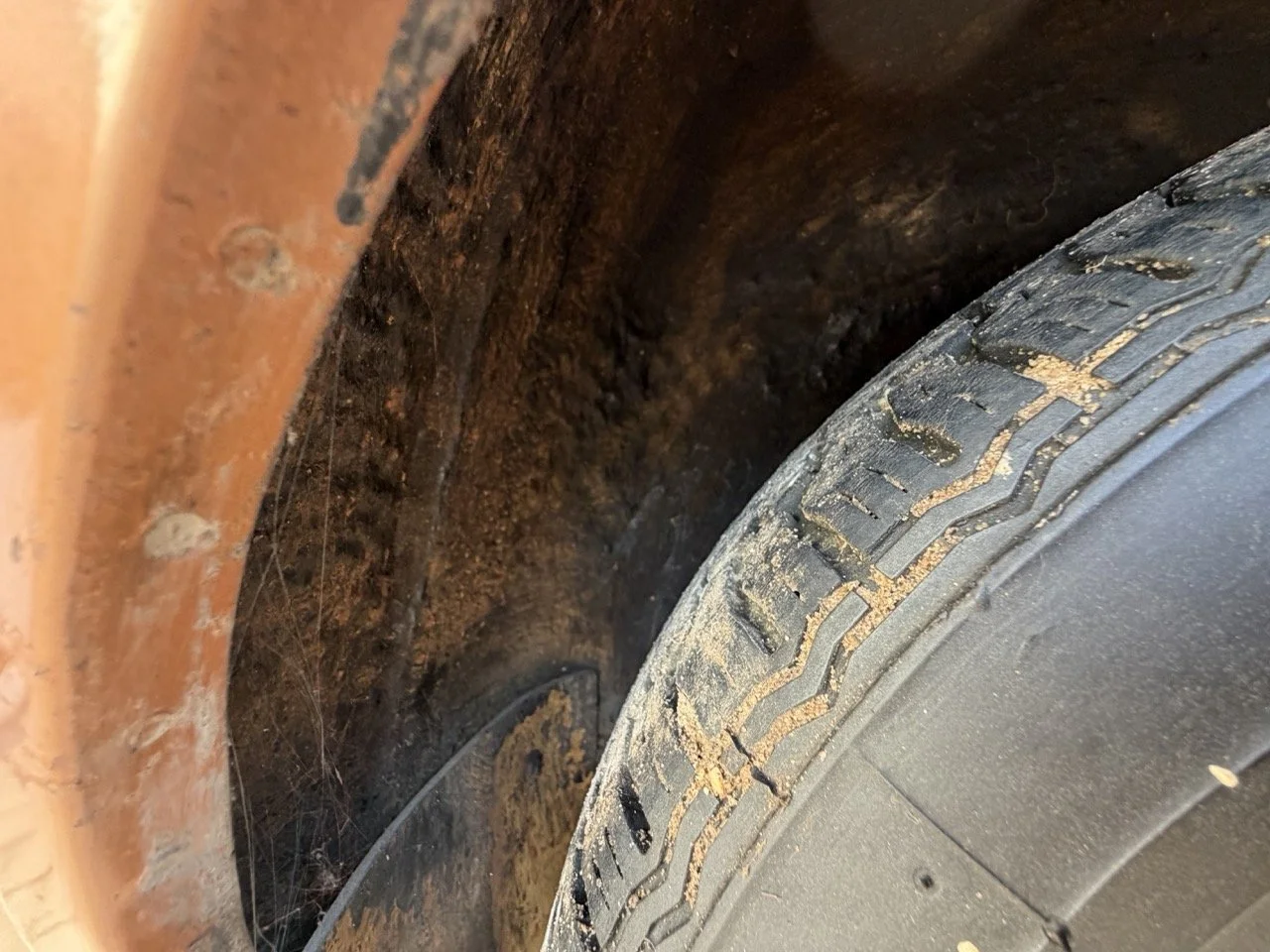 IMG_2456 – grande.jpeg