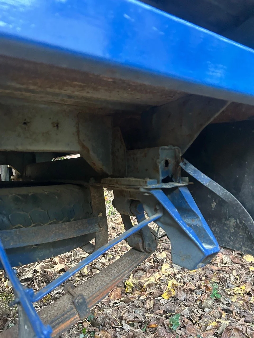 d57bf7bc-4ea5-497c-b218-4584bedf1e4a – grande.jpeg