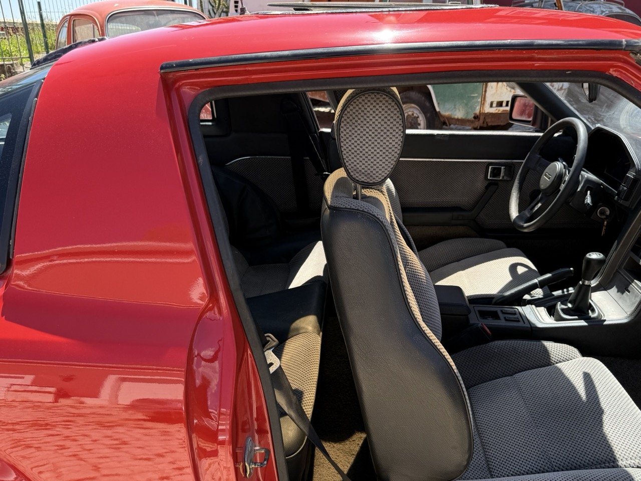 IMG_2066 – grande.jpeg