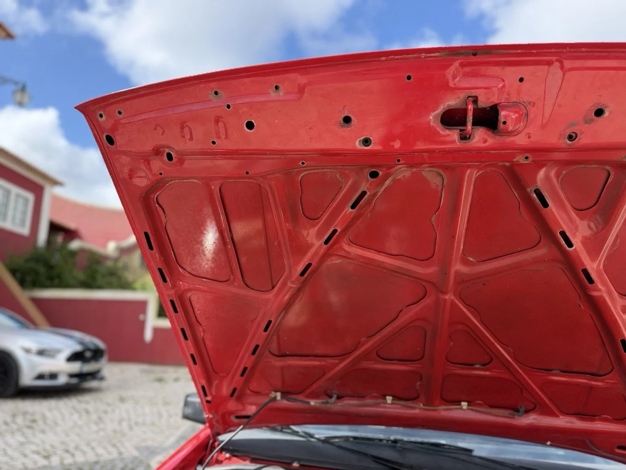 IMG_2361 – grande.jpeg