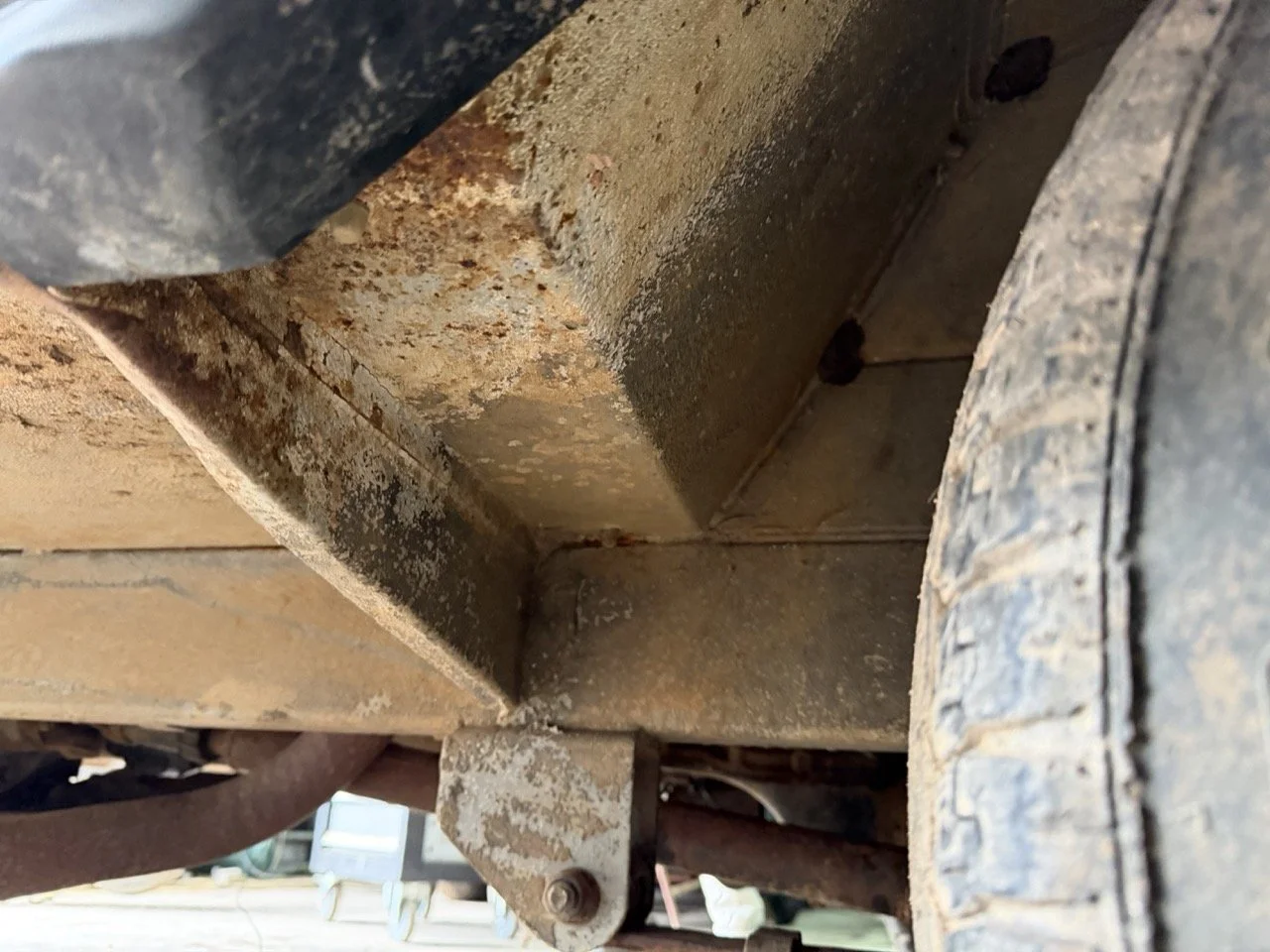 IMG_5246 – grande.jpeg