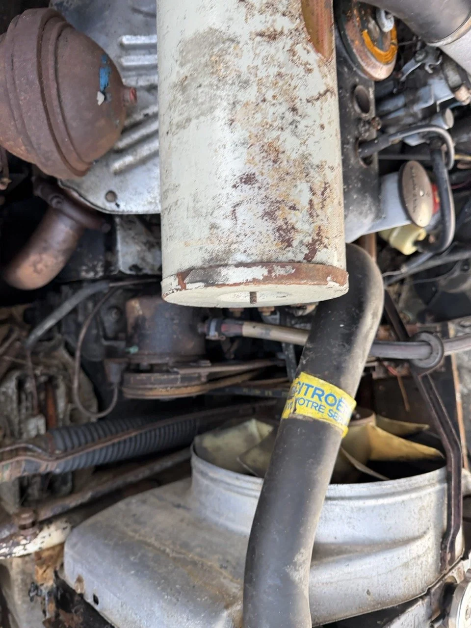 IMG_5973 2 – grande.jpeg