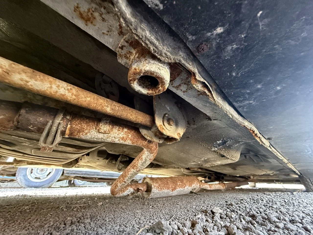 IMG_2959 – grande.jpeg