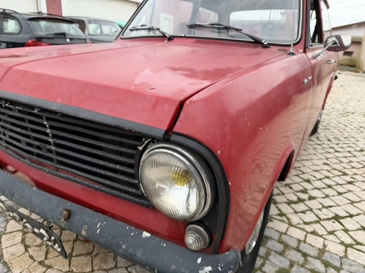 IMG_9656 – grande.jpeg