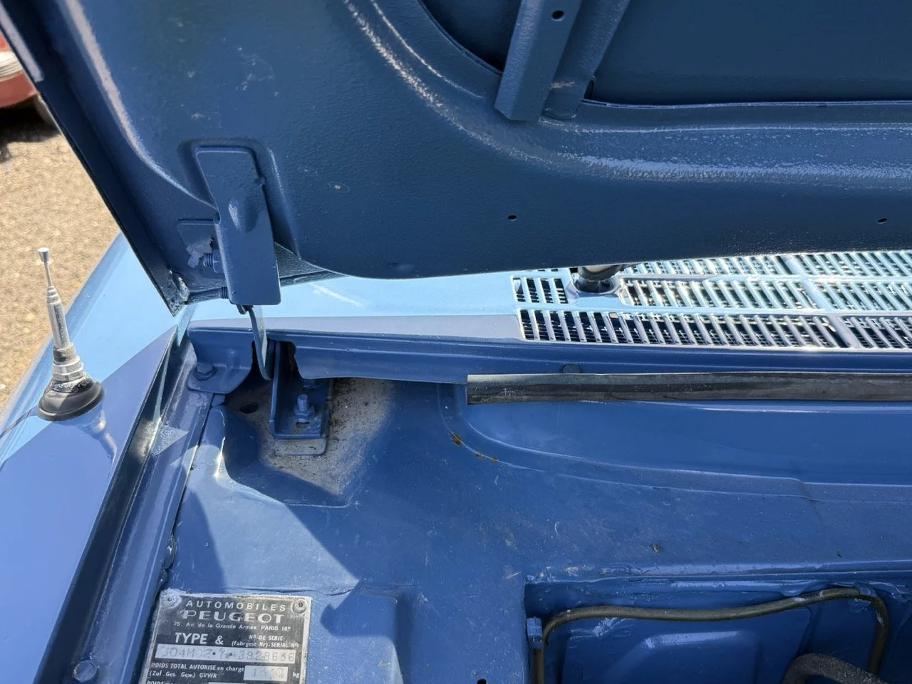 IMG_0799 – grande.jpeg