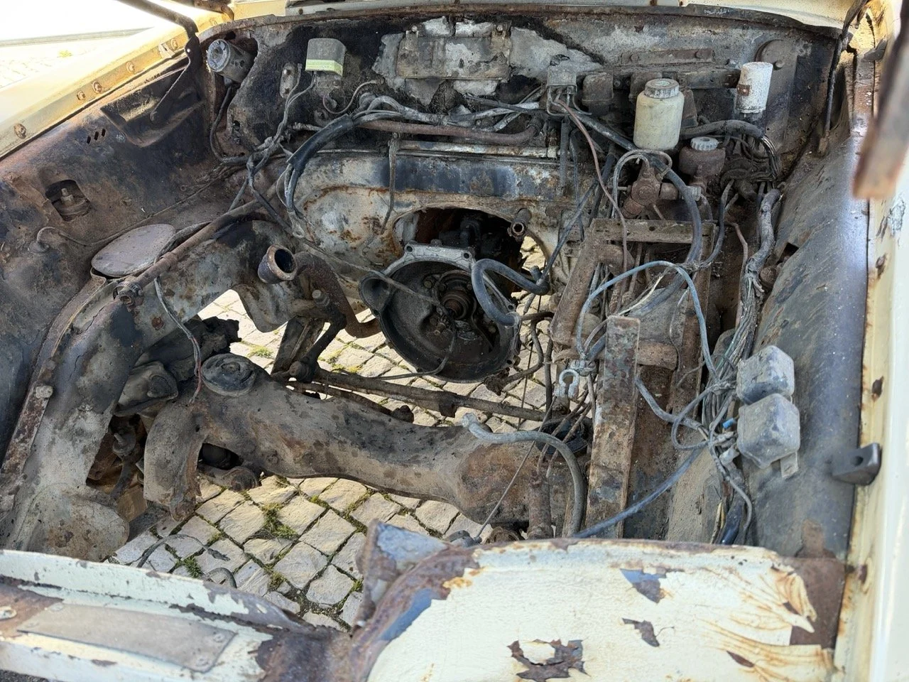 IMG_7096 – grande.jpeg