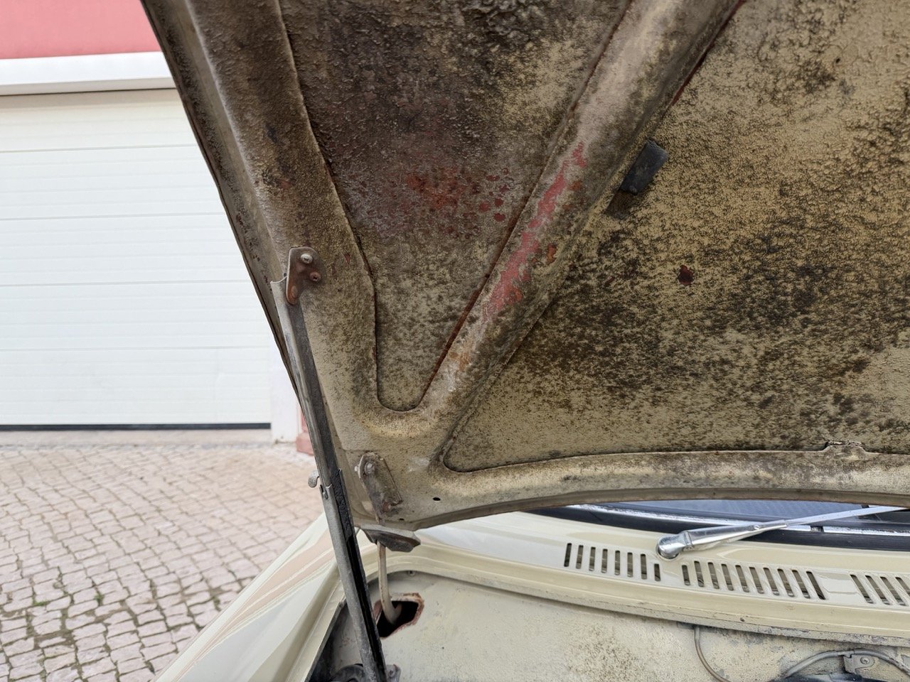 IMG_4076 – grande.jpeg