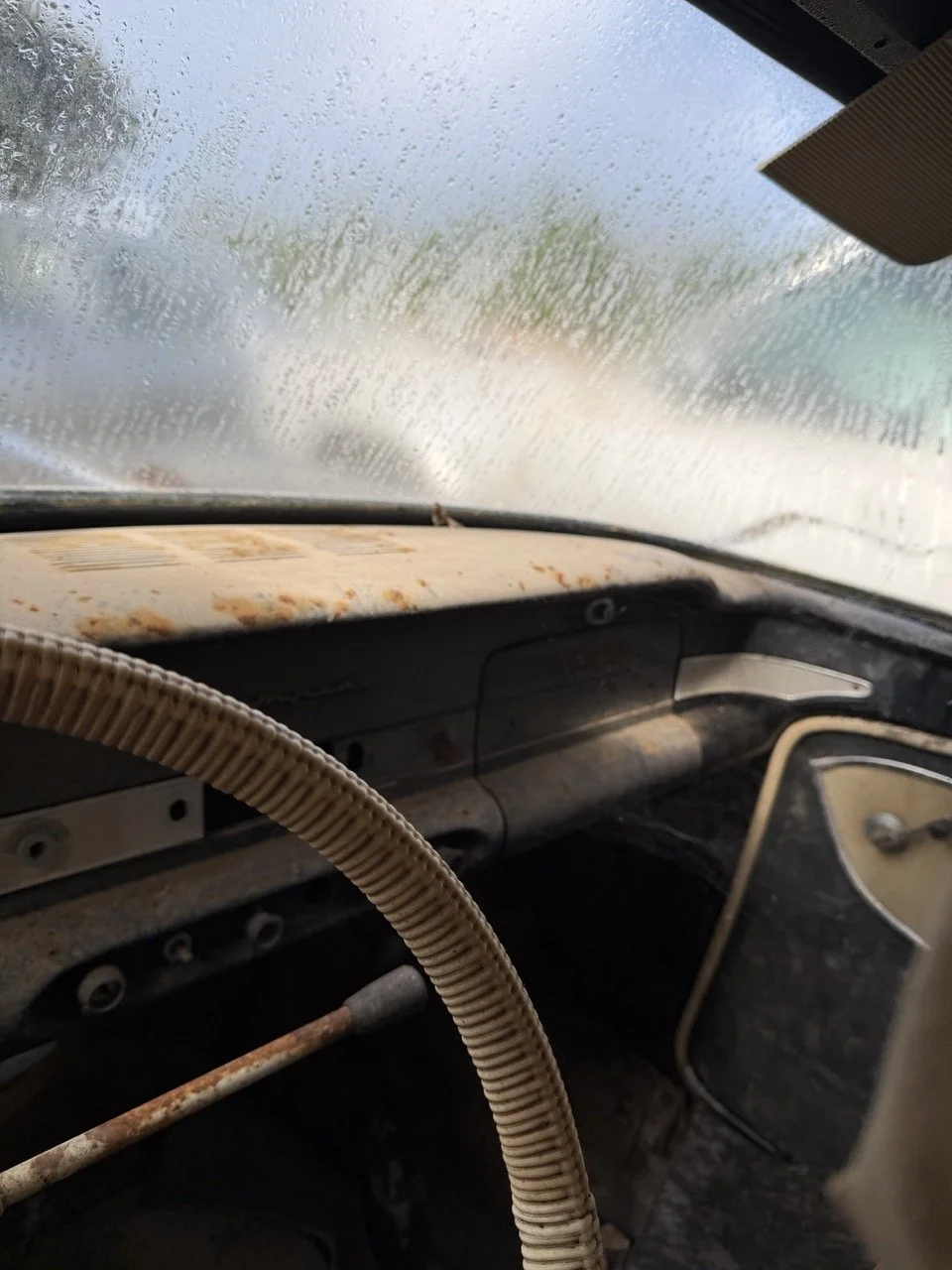 IMG_5088 – grande.jpeg