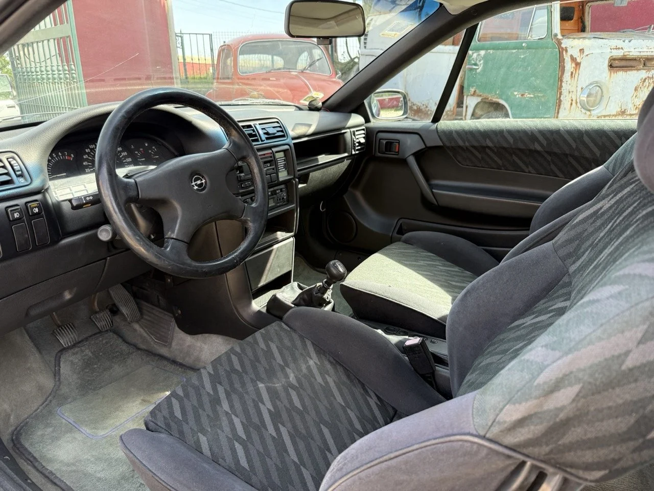 IMG_2393 – grande.jpeg