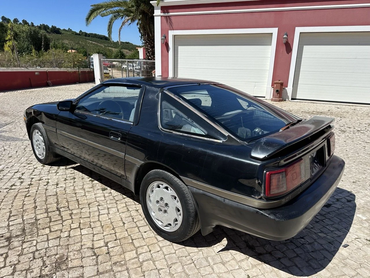 IMG_3030 – grande.jpeg