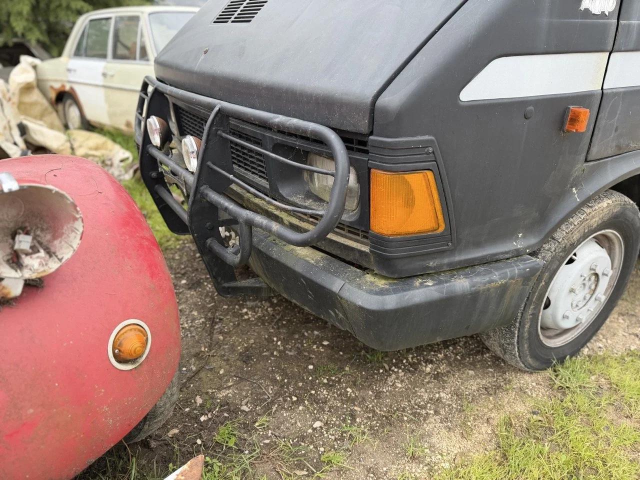 IMG_1308 – grande.jpeg