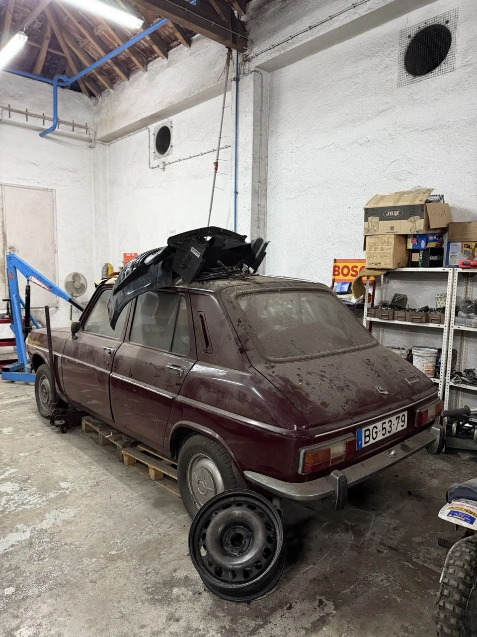 IMG_2584 – grande.jpeg